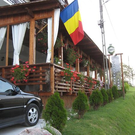Pensiunea Pomi -Oesti Hotel Albestii Paminteni ภายนอก รูปภาพ