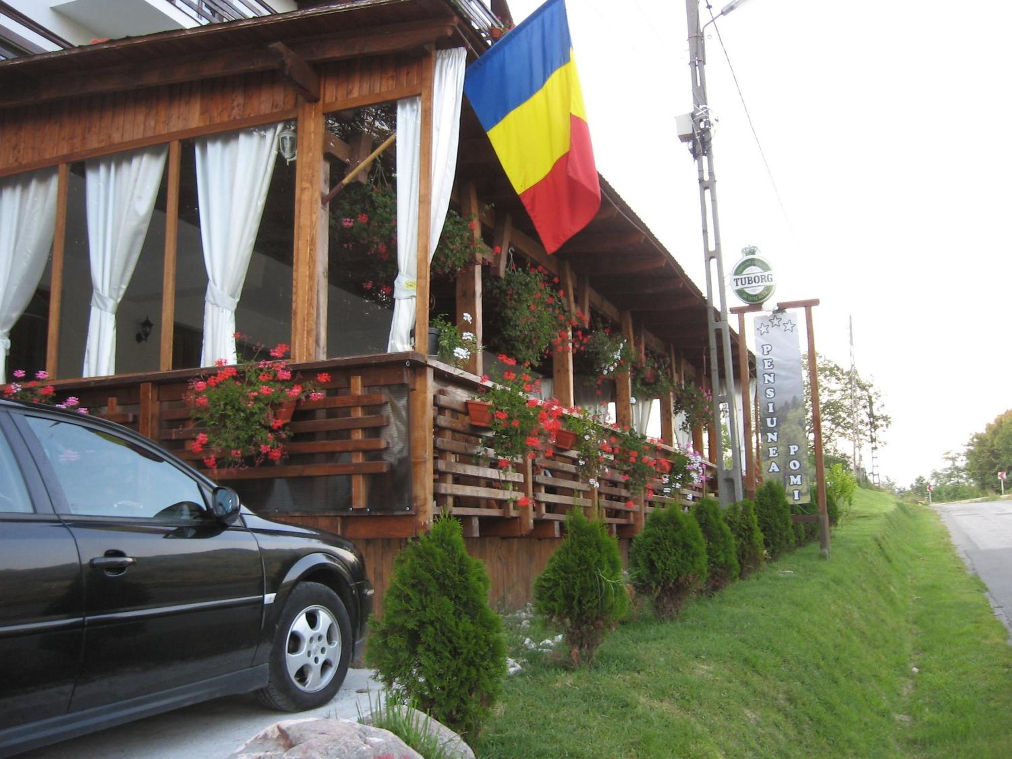 Pensiunea Pomi -Oesti Hotel Albestii Paminteni ภายนอก รูปภาพ
