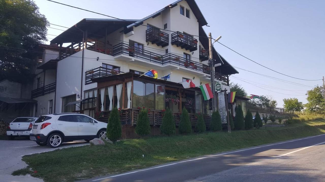 Pensiunea Pomi -Oesti Hotel Albestii Paminteni ภายนอก รูปภาพ