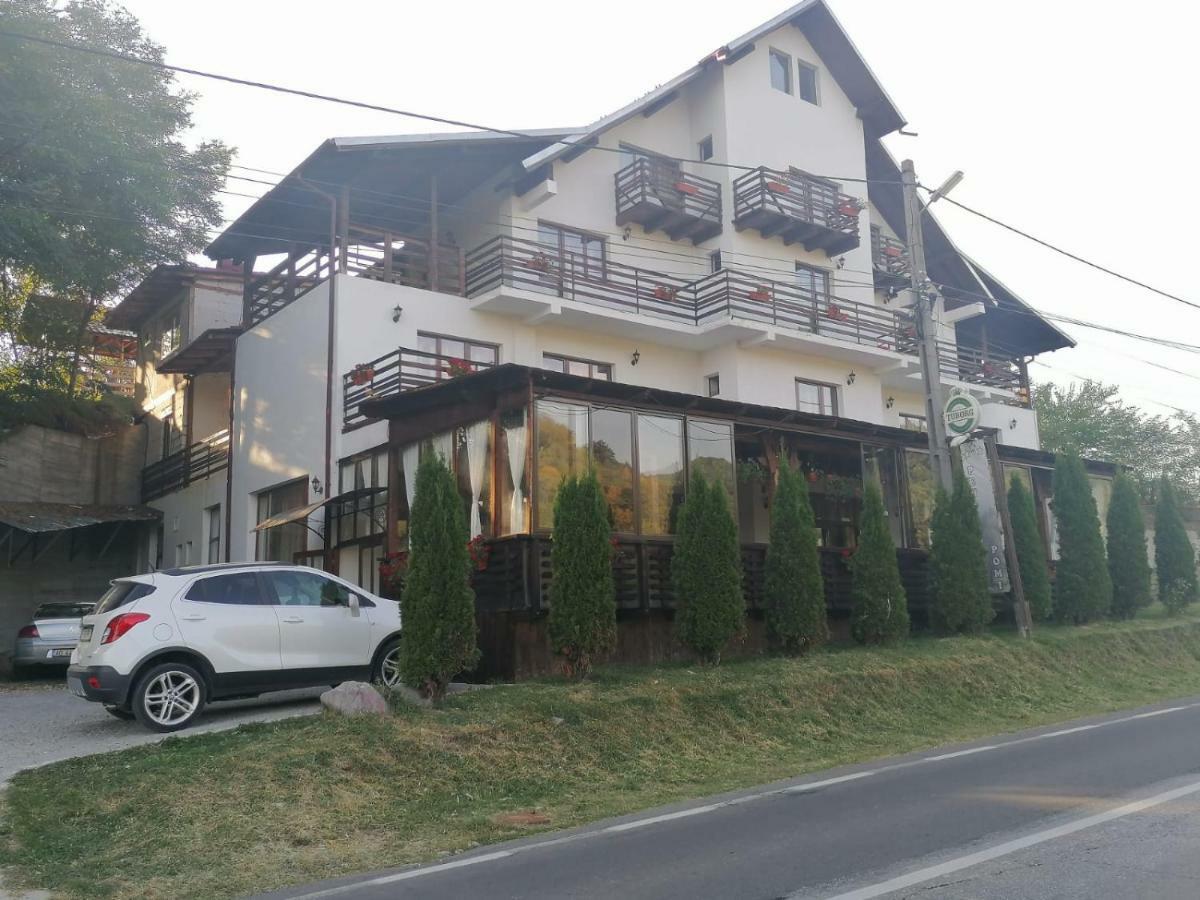 Pensiunea Pomi -Oesti Hotel Albestii Paminteni ภายนอก รูปภาพ