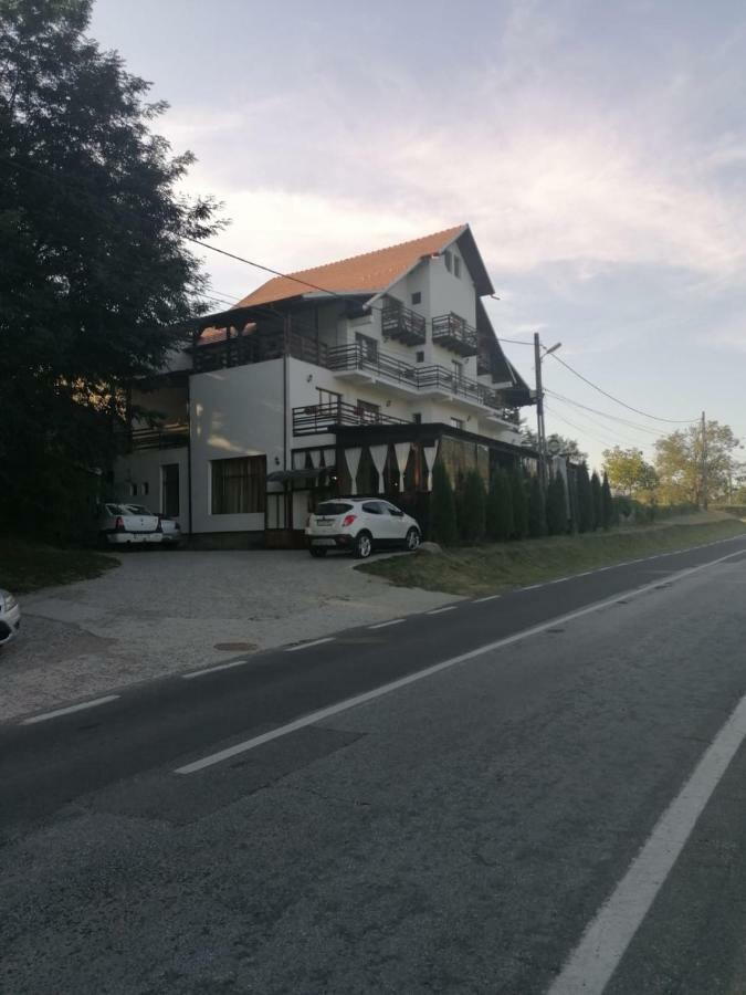Pensiunea Pomi -Oesti Hotel Albestii Paminteni ภายนอก รูปภาพ